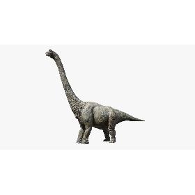 3D Brachiosaurus (Rigged)